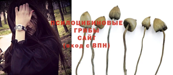 соль ск Алексеевка