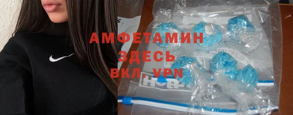 ГАЛЛЮЦИНОГЕННЫЕ ГРИБЫ Алексин
