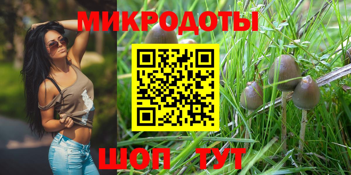 Псилоцибиновые грибы Psilocybe  Вход с VPN  Кизилюрт  Галлюциногенные грибы MAGIC MUSHROOMS 