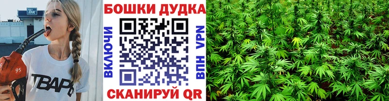 Бошки марихуана марихуана  закладки  Кизилюрт 